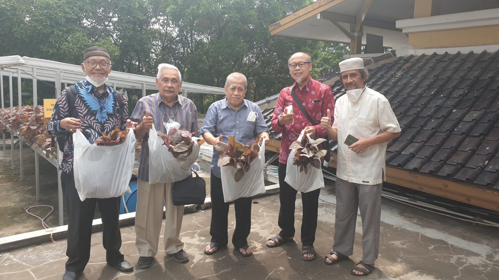 Panen Bayam Organik di Masjid Raya Palapa Baitus Salam